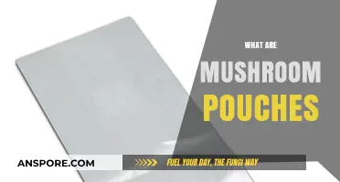 Mushroom Pouches: An Innovative Way to Grow Mushrooms
