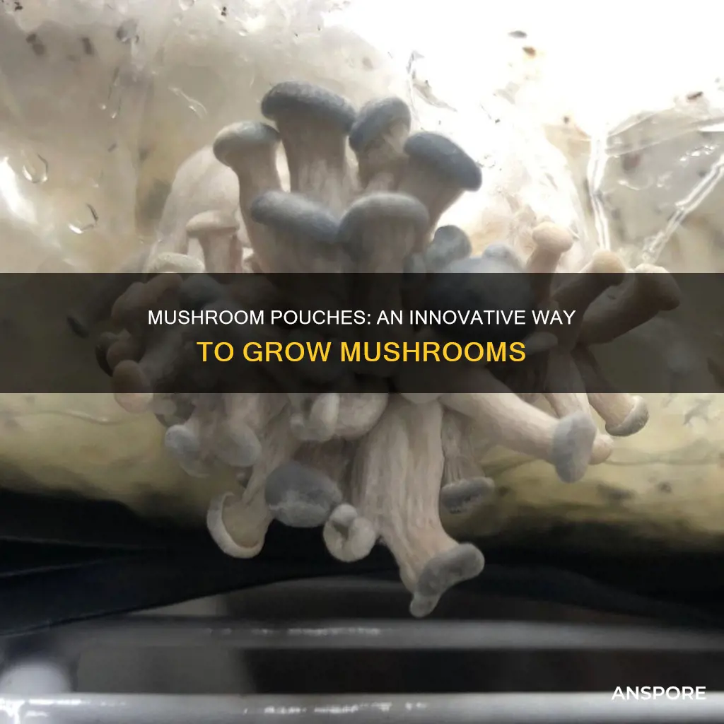 what are mushroom pouches