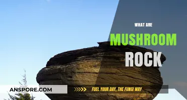 Mushroom Rocks: Nature's Weird and Wonderful Sculptures