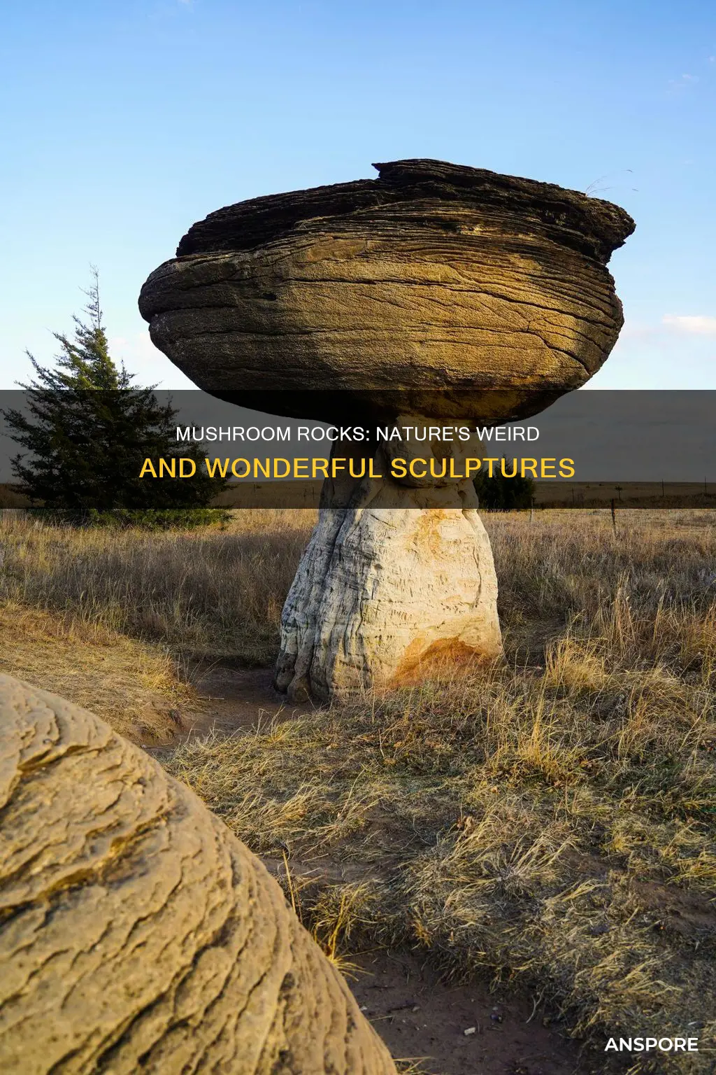 what are mushroom rock