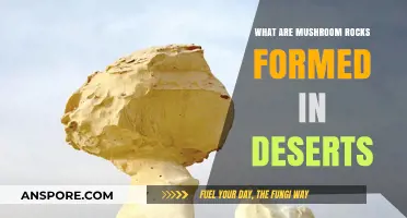 How Desert Winds Carve Unique Mushroom Rocks: Formation Explained