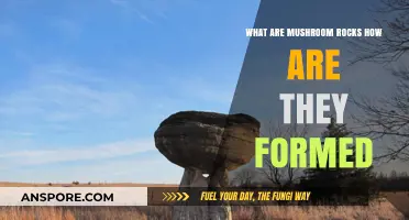 Unveiling Mushroom Rocks: Formation, Features, and Fascinating Facts Explained