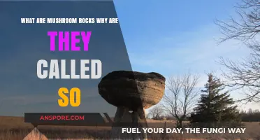 Mushroom Rocks: Unveiling the Unique Formation and Naming Mystery