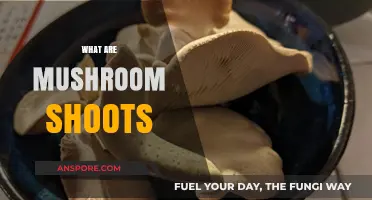 Mushroom Shoots: Nature's Magical Growth Spurt