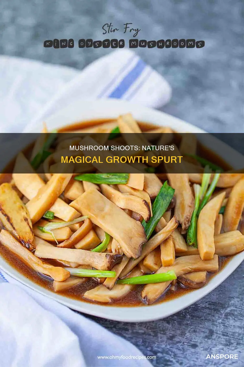 what are mushroom shoots