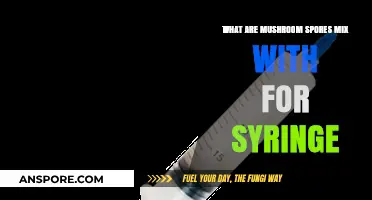 Mixing Mushroom Spores for Syringe Use: Essential Components Explained