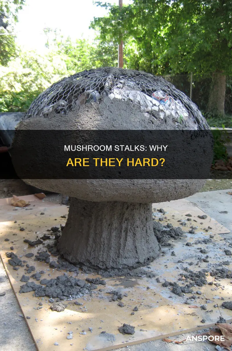 what are mushroom stalks hard