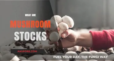 Mushroom Stocks: The Future of Food and Medicine