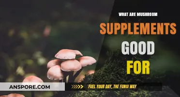 Unlocking Health Benefits: What Mushroom Supplements Are Good For