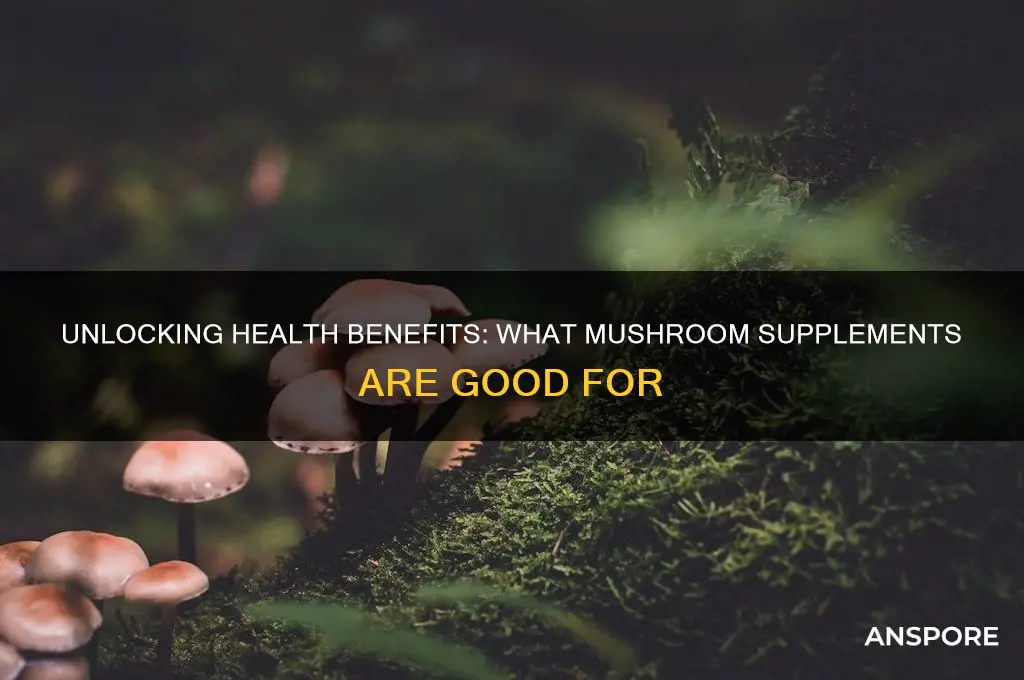 what are mushroom supplements good for