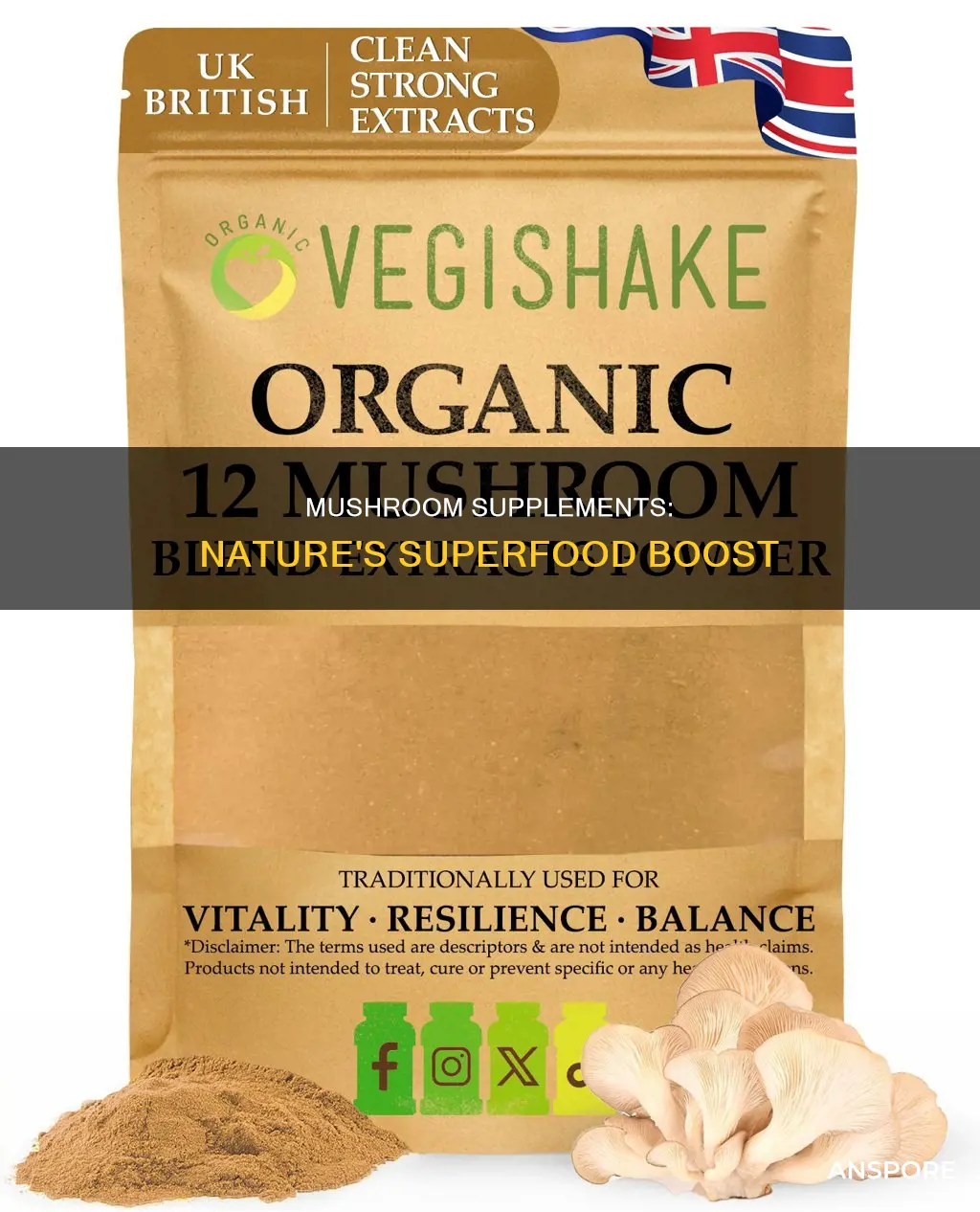 what are mushroom supplements