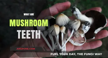 Mushroom Teeth: Nature's Weird Wonder
