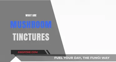 Mushroom Tinctures: Liquid Superfood