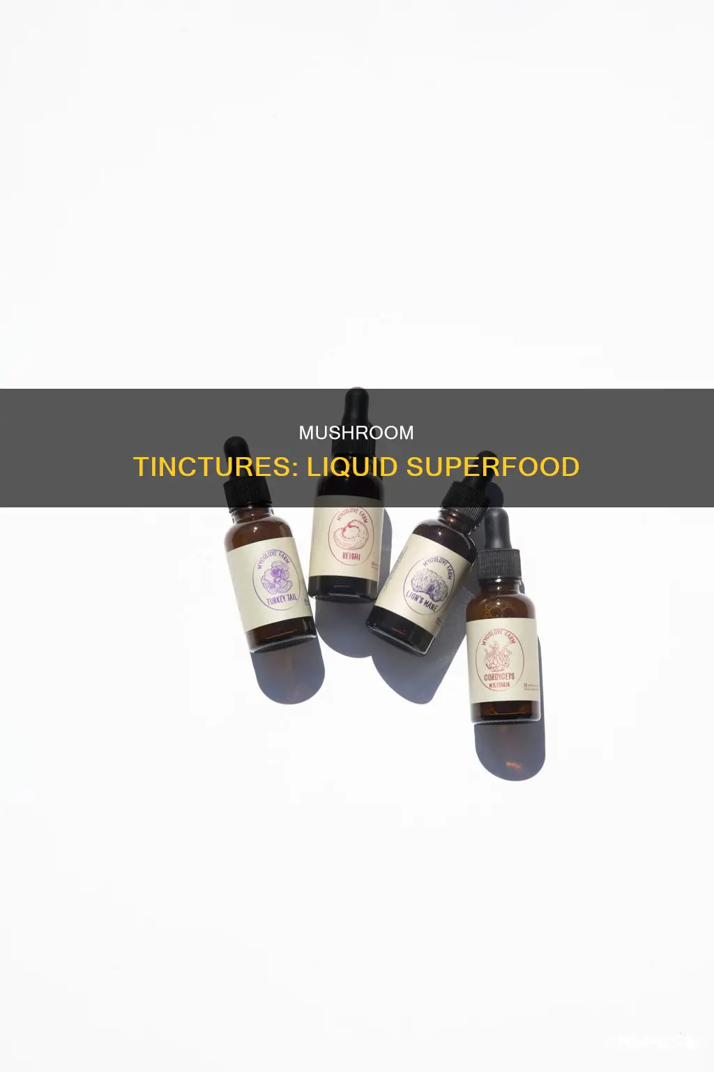 what are mushroom tinctures