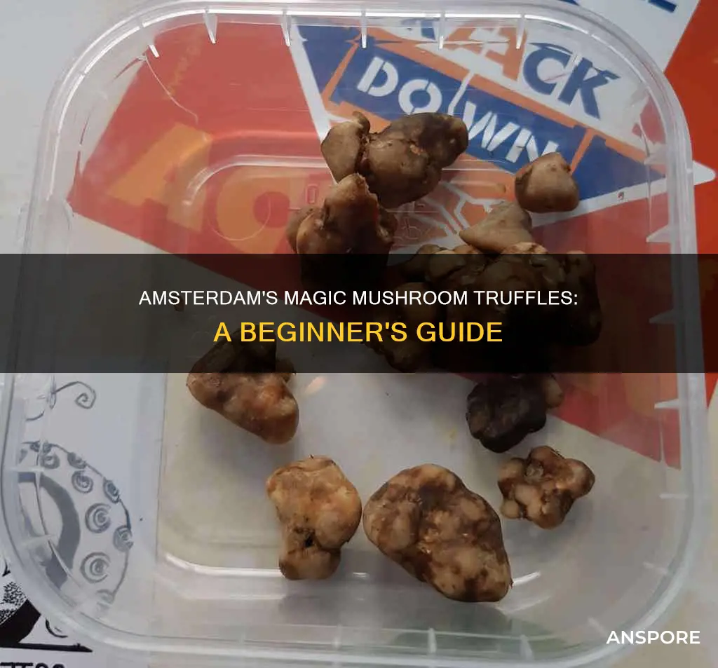 what are mushroom truffles amsterdam