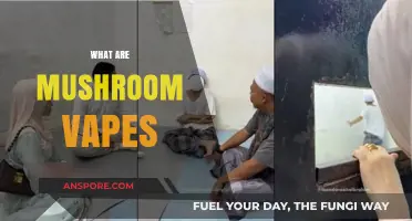 Explore the World of Mushroom Vapes