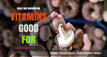 Mushroom Vitamins: Unlocking Health Benefits and Nutritional Power