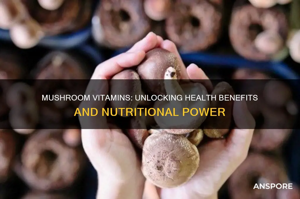what are mushroom vitamins good for