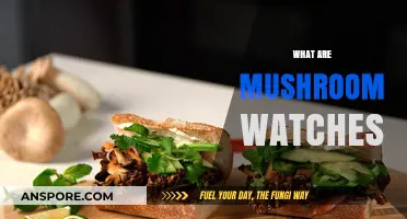 Mushroom Watches: Nature's Time-Telling Fungi