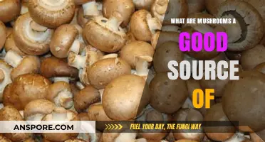Mushrooms: Nutrient-Rich Superfoods Packed with Vitamins, Minerals, and Antioxidants