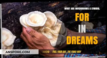 Decoding Mushroom Symbolism: Unveiling Hidden Meanings in Your Dreams