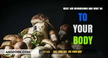 Mushrooms Unveiled: Surprising Health Benefits and Body Impacts Explained