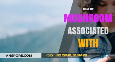 Mushrooms: Magic, Medicine, and Myth