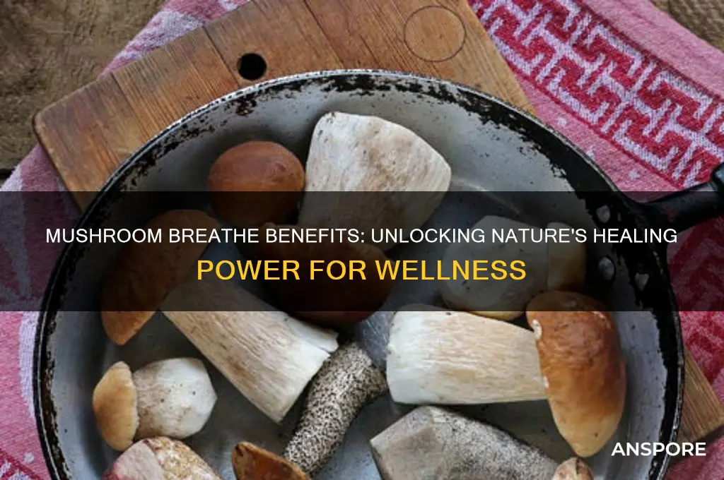 what are mushrooms breathe good for