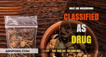 Are Mushrooms Drugs? Exploring Their Classification and Effects