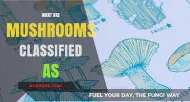Mushrooms: Are They Plants, Fungi, or Something Else?