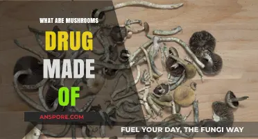 Unveiling the Chemical Composition of Psychedelic Mushrooms and Their Effects