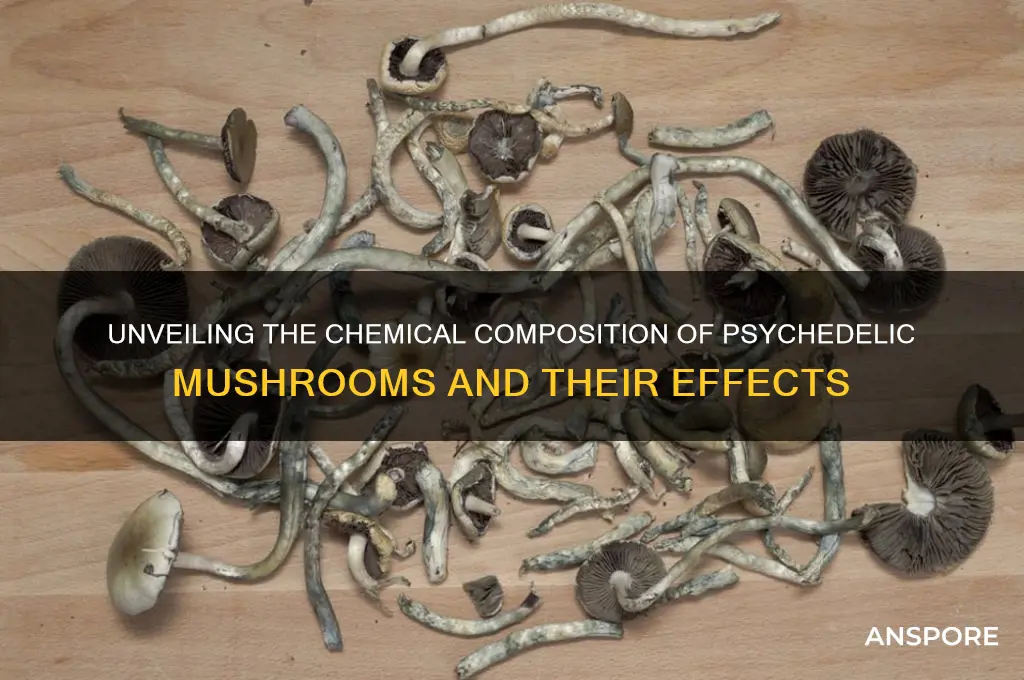 what are mushrooms drug made of