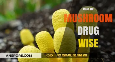 Magic Mushrooms: A Trippy Adventure