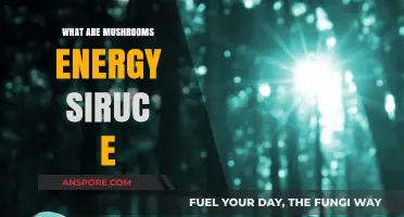 Mushrooms Energy Source: Unlocking Nature's Hidden Power and Potential