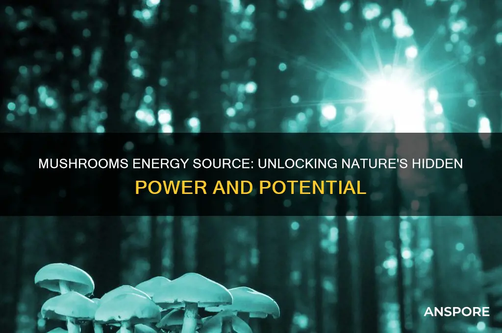 what are mushrooms energy siruc e