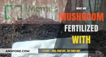 Mushroom Fertilization: What Do They Need to Grow?