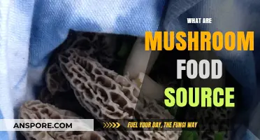 Mushrooms: Nature's Secret Superfood Source