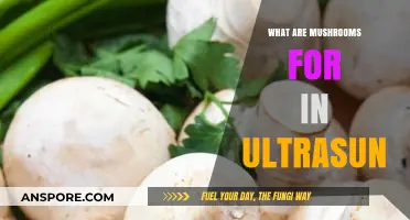 Mushrooms in Ultrasun: Unveiling Their Unique Role and Benefits