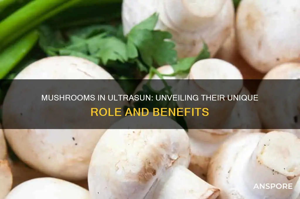 what are mushrooms for in ultrasun