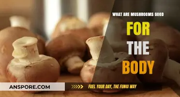 Mushrooms' Health Benefits: Boosting Immunity, Energy, and Overall Wellness