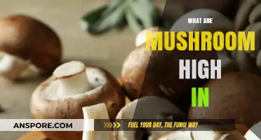 Mushrooms: Nutrient-Dense Superfood