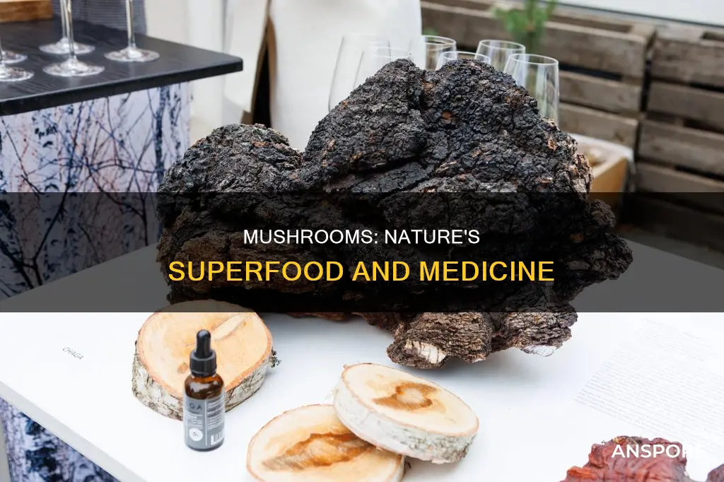 what are mushrooms important