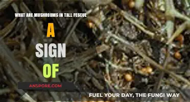 Mushrooms in Tall Fescue: Indicators of Soil Health or Issues?