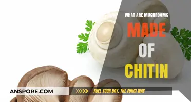 Unveiling Mushrooms' Chitin Composition: Structure, Function, and Unique Properties