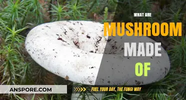 Mushrooms: A Complex Composition of Organic Matter