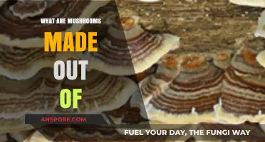 Unveiling the Surprising Components of Mushrooms: A Deep Dive