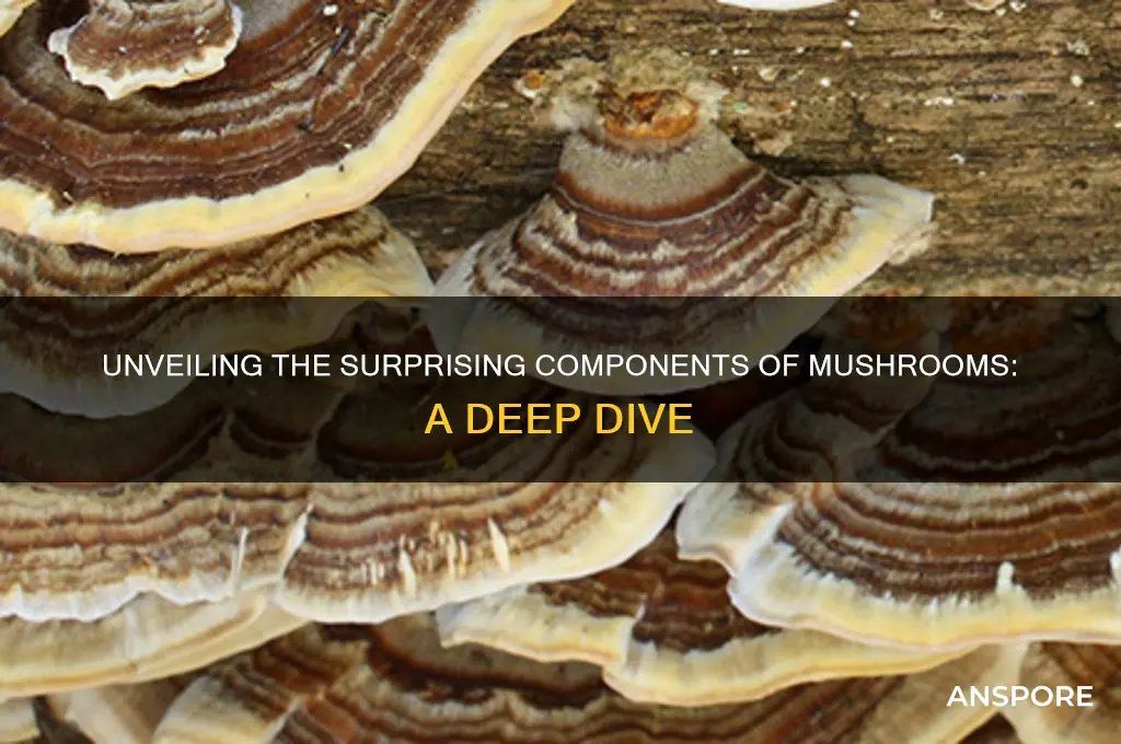 what are mushrooms made out of