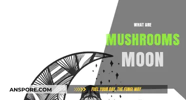 Mushroom Moons: The Mystery of Lunar Fungi