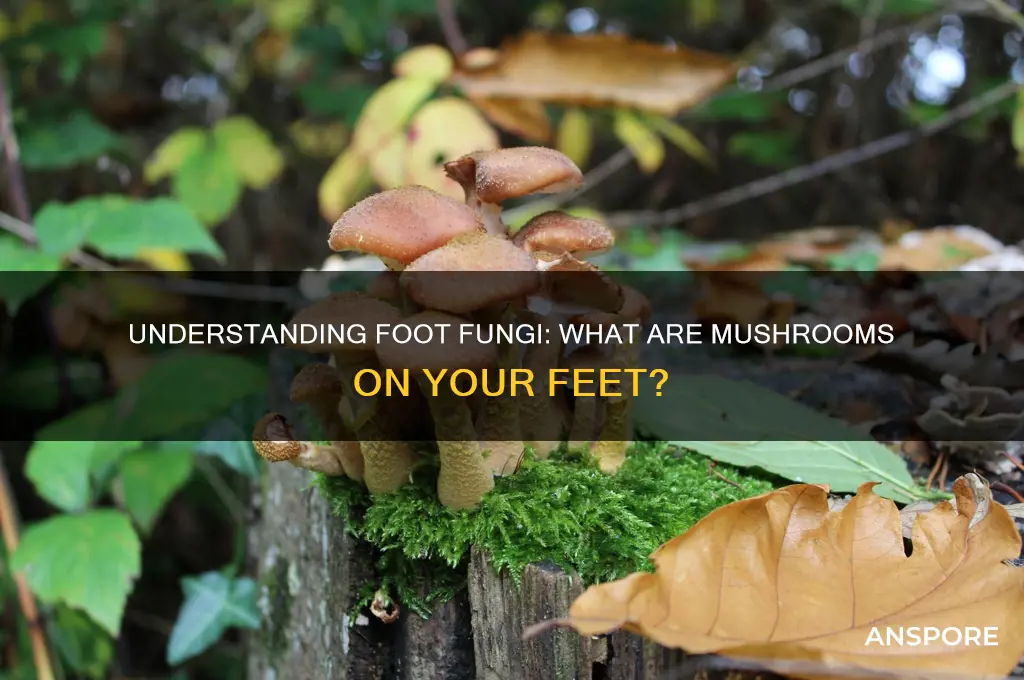 what are mushrooms on your feet