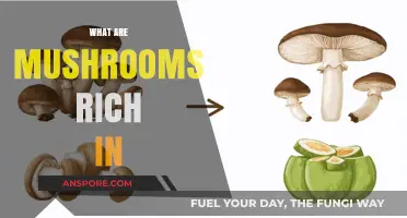 Mushrooms: Nutrient-Rich Superfood